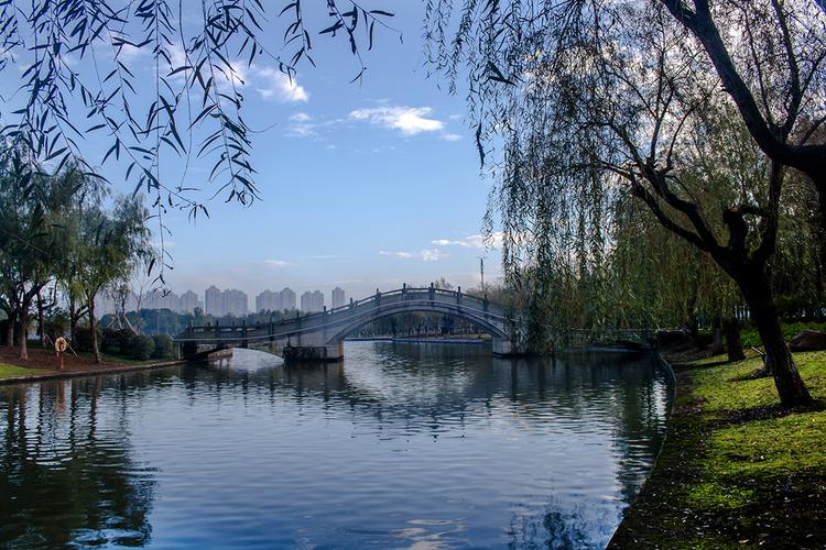 宁波大学园区风景