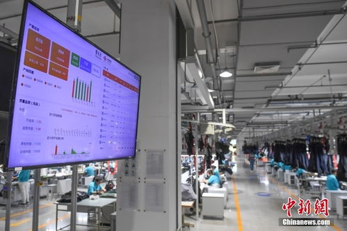 探访浙江宁波 未来工厂 智能制造助力效能提升