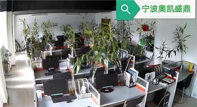 宁波网站设计